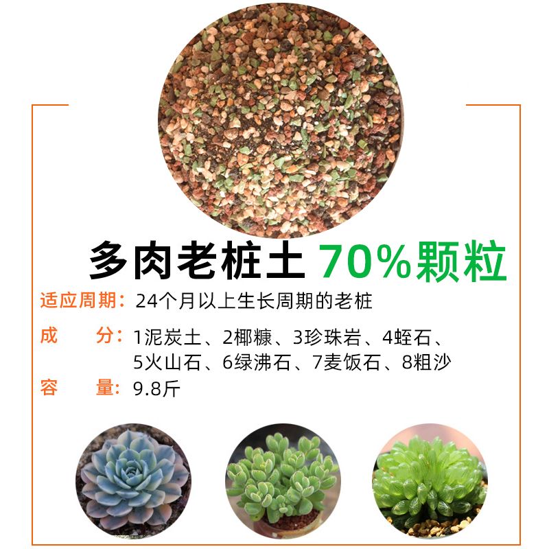 萌萌肉多肉植物专用颗粒营养土进口泥炭土配方肉肉土叶插土纯颗粒 虎窝拼