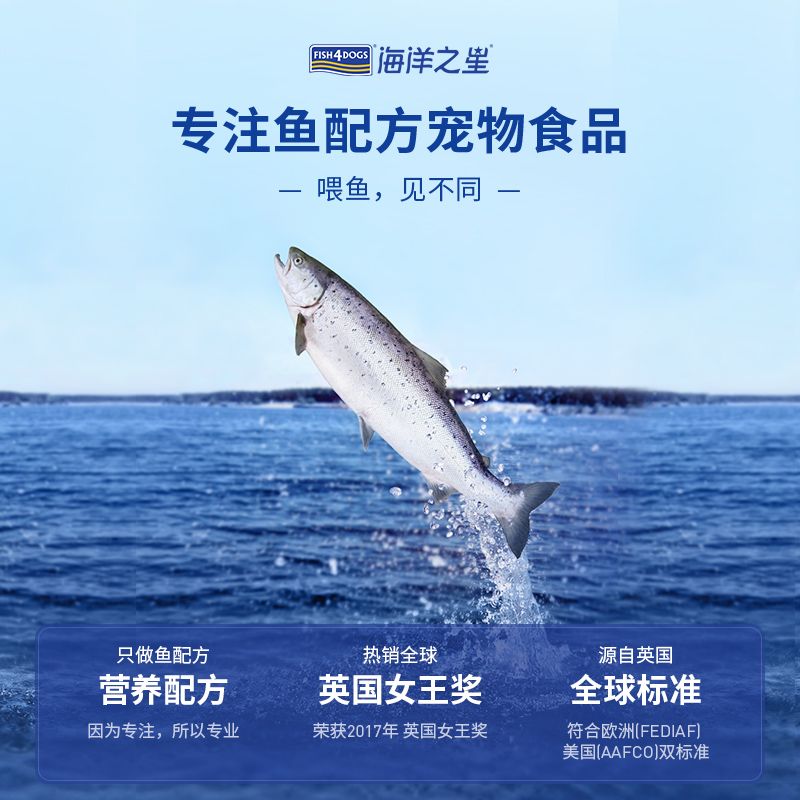 沧州海洋之星图片