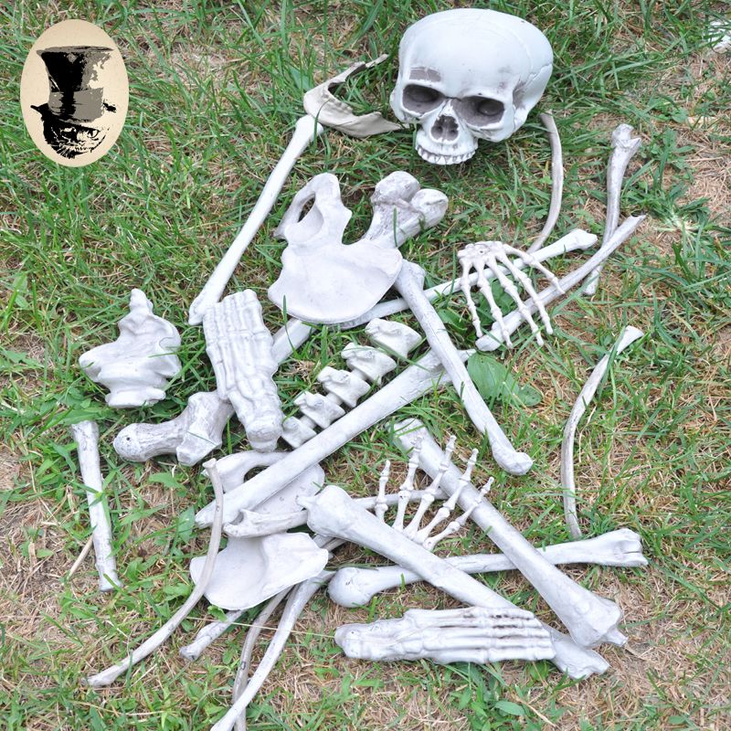 骷髅骨架道具万圣节用品鬼屋密室逃脱素描写生模型美术影视用具 虎窝拼