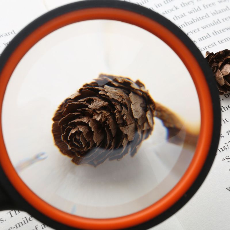 高清30倍防摔放大镜学生科学观察老人看报珠宝玉石鉴赏细节扩大镜