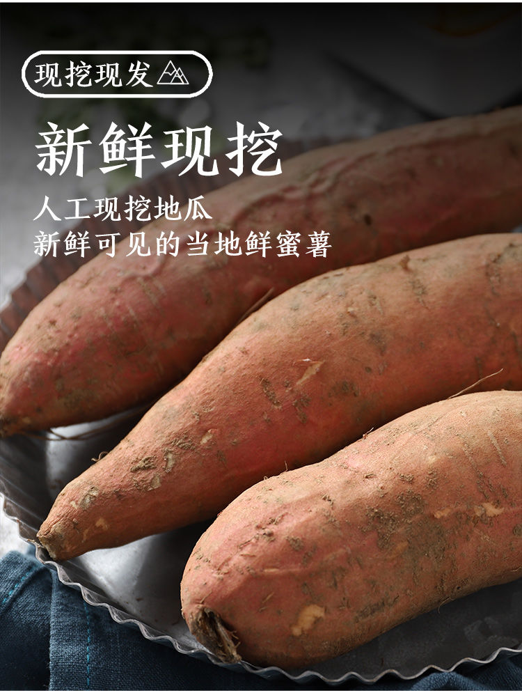 【顺丰包邮】红薯新鲜农家番薯烤地瓜山东沙地烟薯25糖心红心蜜薯