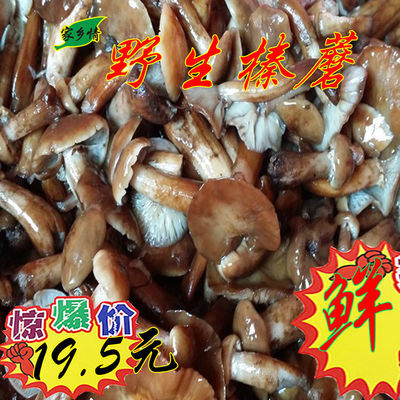 东北特产野生榛蘑新鲜咸榛蘑腌制榛蘑小鸡炖蘑菇盐腌制保鲜干净