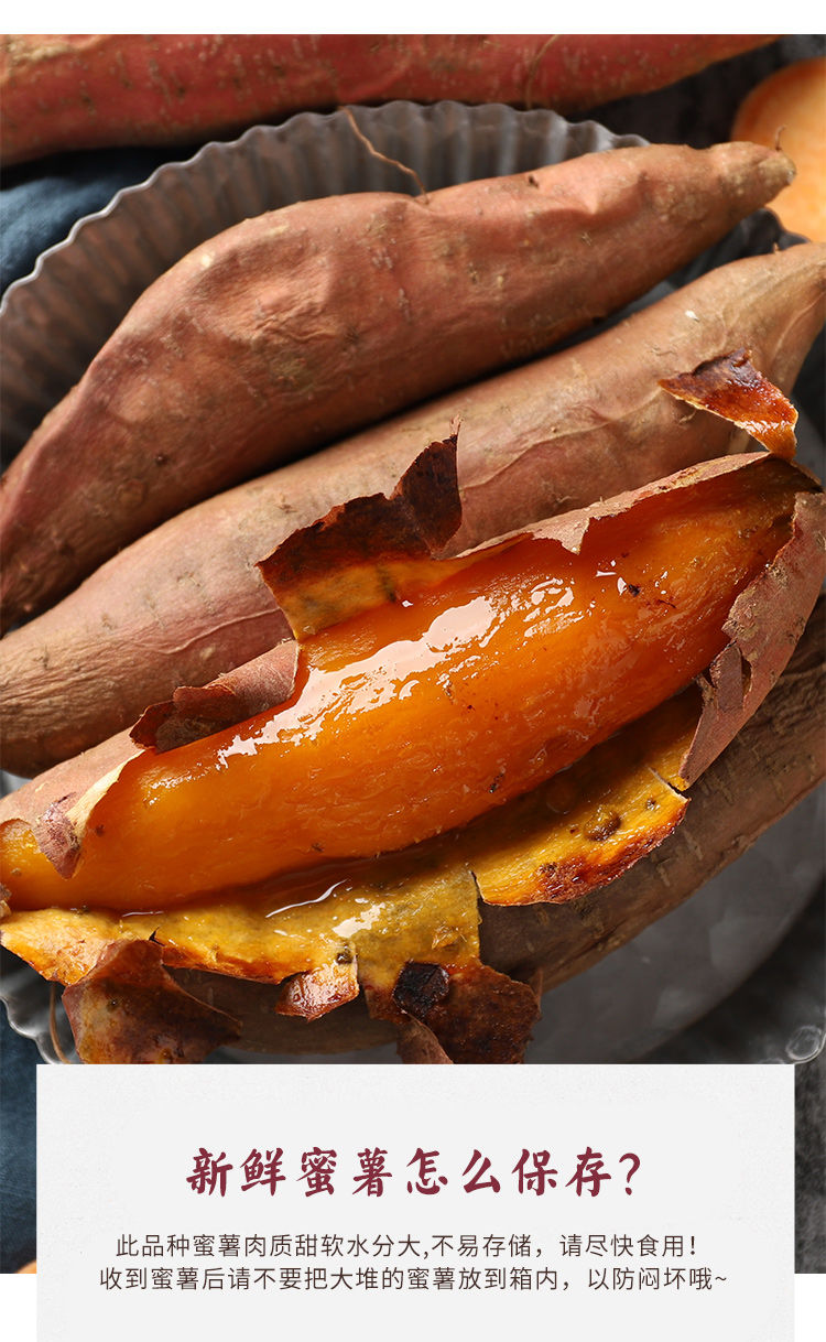 【顺丰包邮】红薯新鲜农家番薯烤地瓜山东沙地烟薯25糖心红心蜜薯