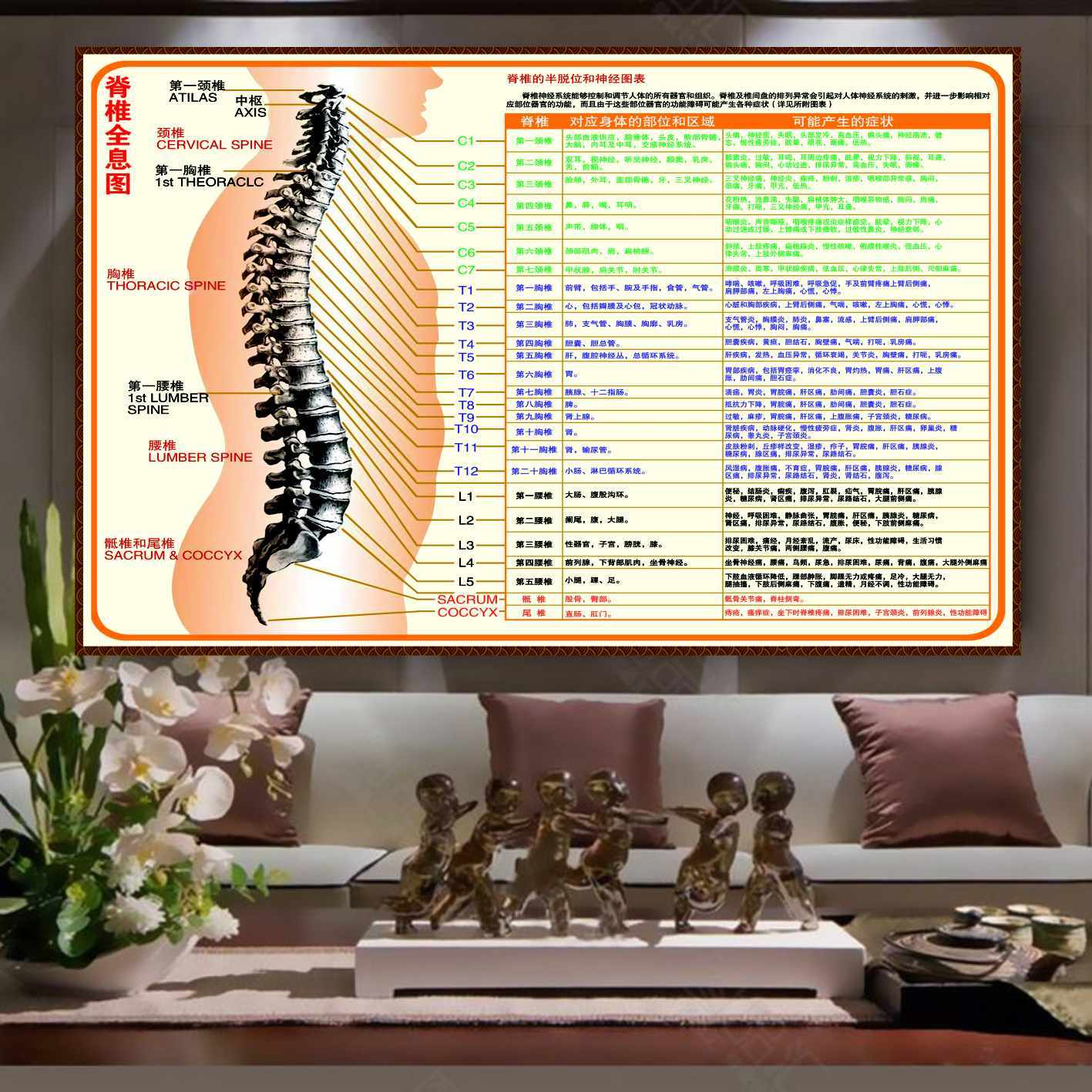 脊柱脊椎全息图海报挂图示意图参照对照图片中医文化装饰画