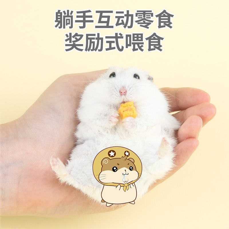 Hamster small snacks freeze-dried egg yolk eggs young pregnant mice eat nutritional golden bear food supplies nutritional snacks