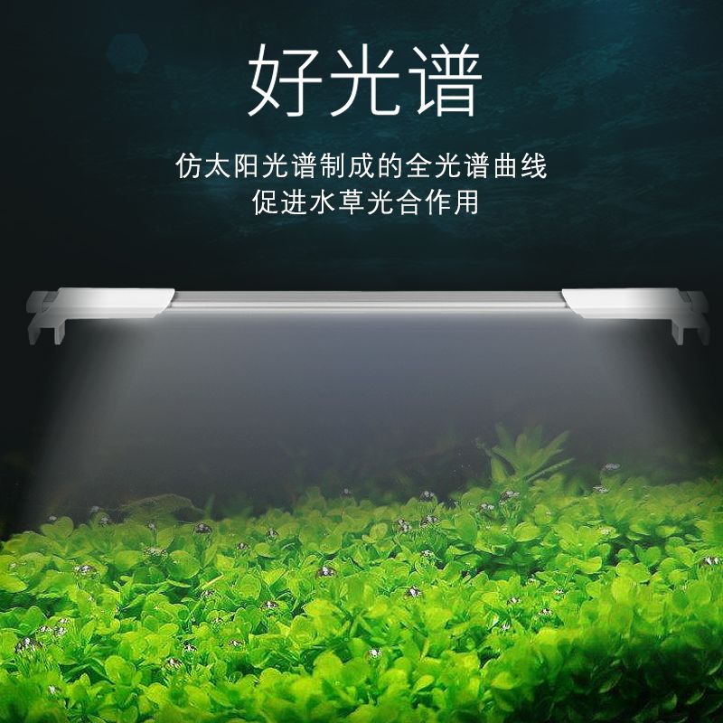 子白專業水草燈魚缸燈led防水照明燈全光譜超亮家用小型led草缸燈