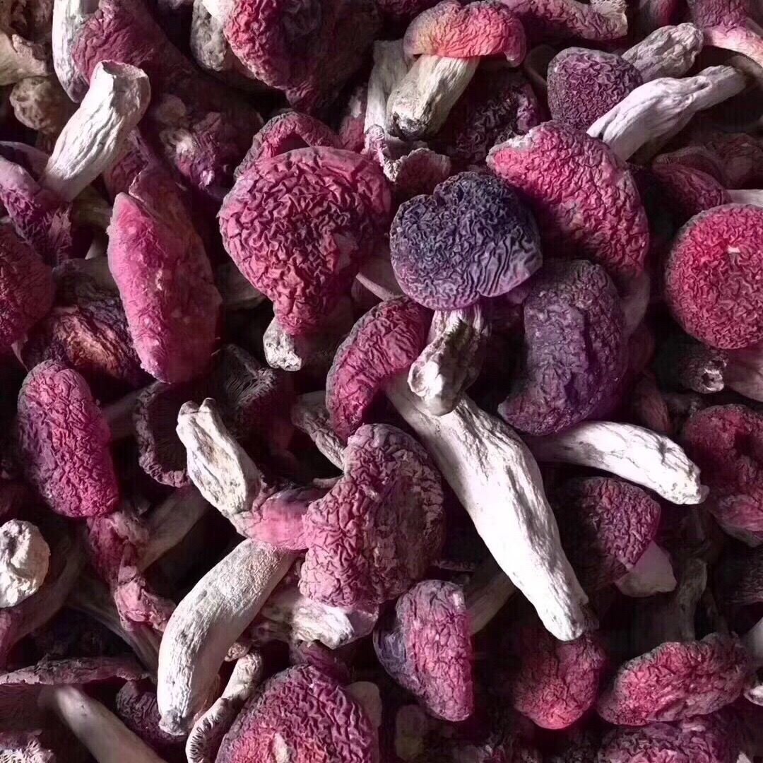 蘑菇福建月子干品武夷山野生干货