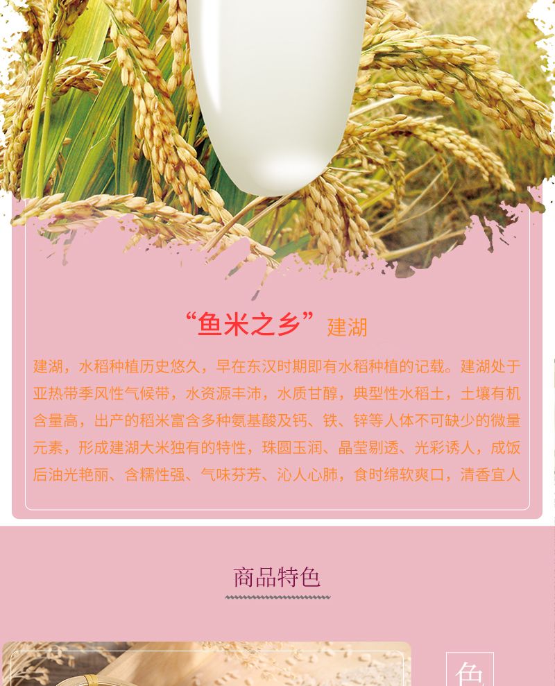  【零添加无抛光】大米10斤20斤丝苗米稻香米长粒香米生态大米