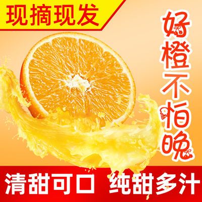 40108/正宗秭归夏橙 橙子新鲜现摘现发当季水果孕妇水果榨汁专用手剥橙