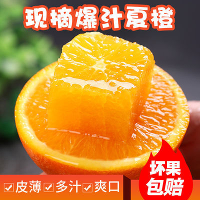 秭归夏橙 水果新鲜应季水果橙子3斤脐橙当季爆汁橙整箱手剥榨汁橙