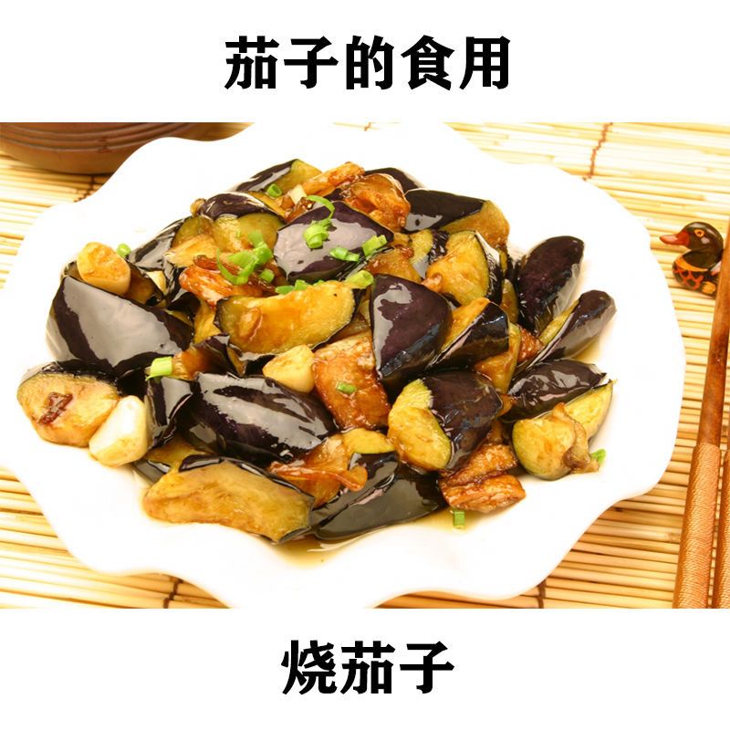 2f325d7a-1e71-408b-866f-92c4ad3ee0e7.jpg