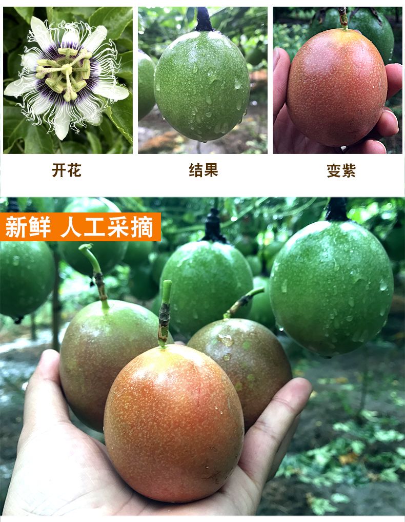 b9502cd1-fdd6-401c-9a3b-2e5e26619781.jpg