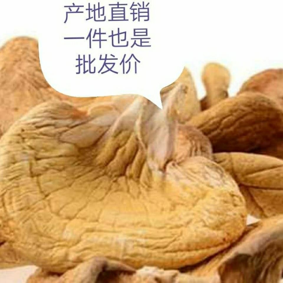 元蘑伊春特产纯正元蘑东北冻蘑干品蘑菇炖鸡500克