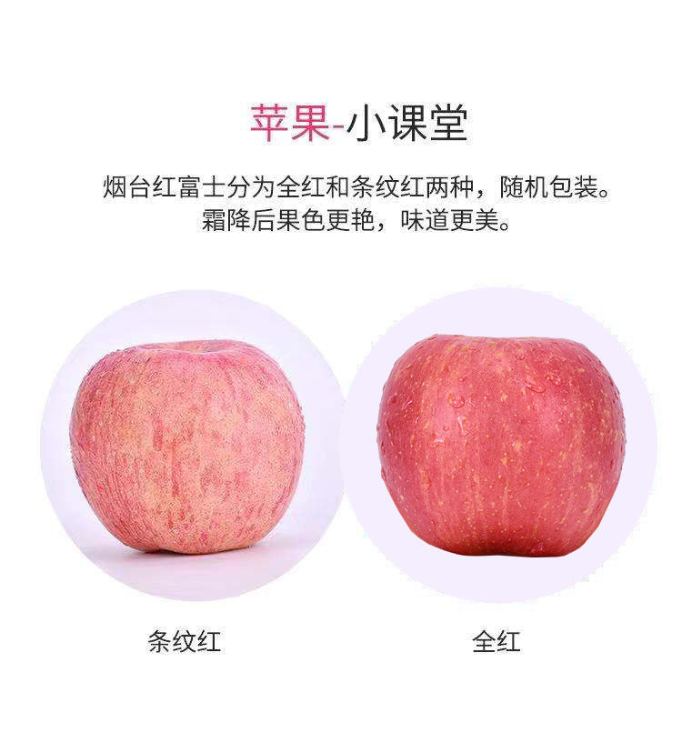 脆甜山东烟台栖霞红富士苹果3斤/5斤/10斤新鲜水果不打蜡