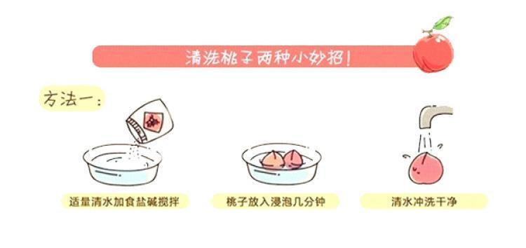 新鲜桃子水蜜桃现摘现发应季脆甜多汁毛桃脆桃新鲜水果5/9.5斤装