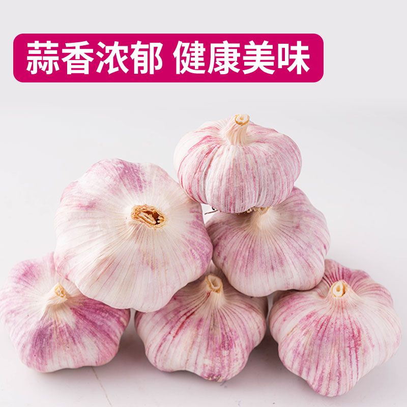 6e58a135-dd4f-4bba-a00f-d1b5b1d377e4.jpg