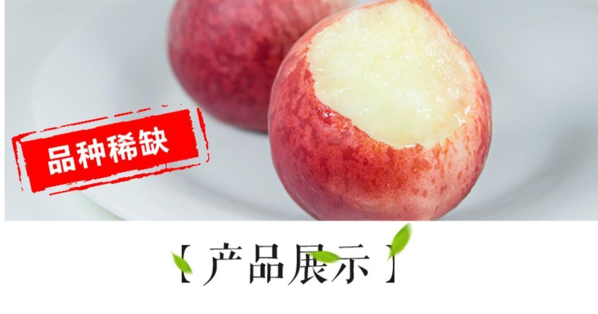  新鲜桃子水蜜桃现摘现发应季脆甜多汁毛桃脆桃新鲜水果5/9.5斤装