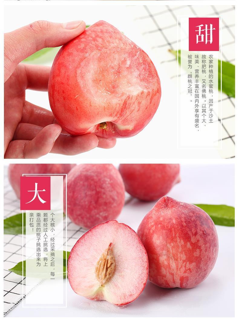 新鲜桃子水蜜桃现摘现发应季脆甜多汁毛桃脆桃新鲜水果5/9.5斤装