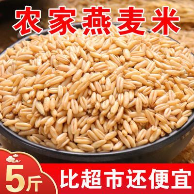 5斤东北燕麦米燕麦仁裸燕麦粒农家自产五谷杂粮胚芽米雀麦即食2斤