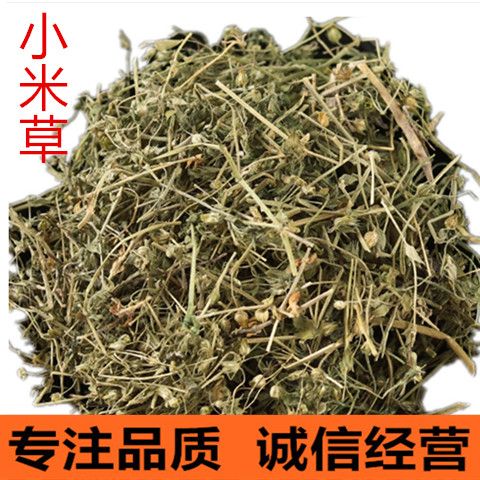 中药材 小米草 芒小米草 药用小米草 包邮