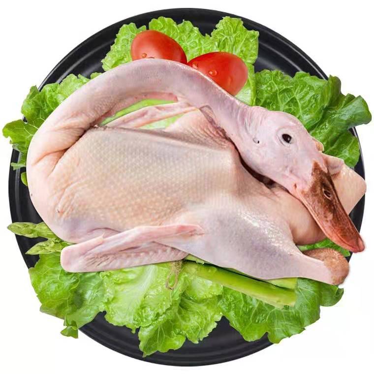 广东发货 农家散养土鸭老鸭麻鸭新鲜鸭生鸭肉鸭子鲜鸭水养鸭整鸭