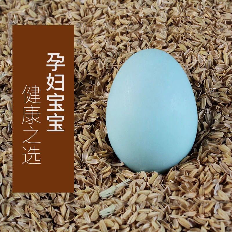鸭蛋新鲜贾鲁河农家散养生鸭蛋精选特大个绿壳鸭蛋现捡现发土鸭蛋