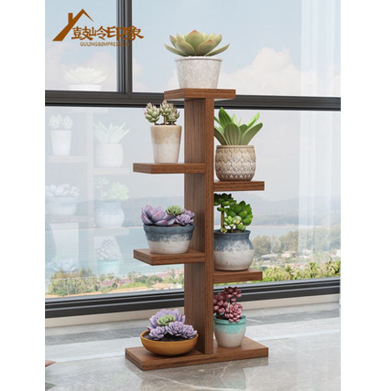多肉小花架客厅 f1ca50dd-285f-4fce-ada5-259944e036bf.jpg