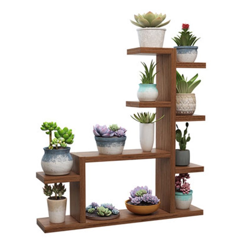 多肉小花架客厅 fcee97e7-3579-41e6-af9e-47768e53ec6d.jpg