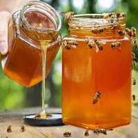 野生蜂蜜天然正品深山百花蜜自然成熟土蜂蜜农家自产自销槐花蜜