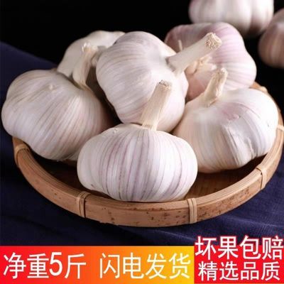 新鲜干蒜紫皮干大蒜头批发红衣蒜头干蒜瓣干红新蒜头河南新鲜大蒜