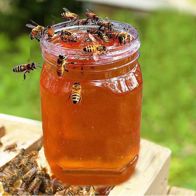 54293-蜂蜜天然正品深山百花蜜自然成熟土蜂蜜农家自产自销槐花蜜-详情图