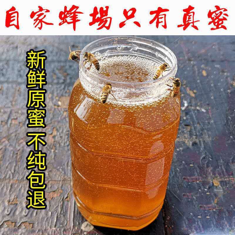 54293-蜂蜜天然正品深山百花蜜自然成熟土蜂蜜农家自产自销槐花蜜-详情图