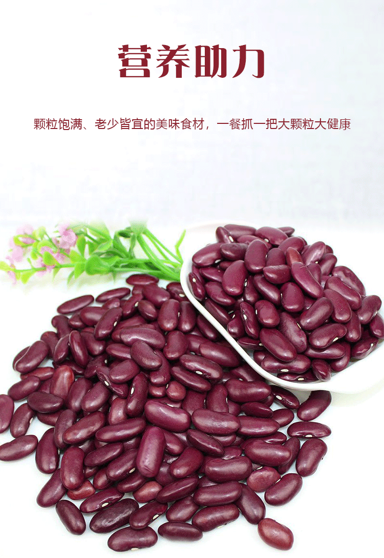 4b3326ee-8f28-48aa-9377-374ebb52a1de.png