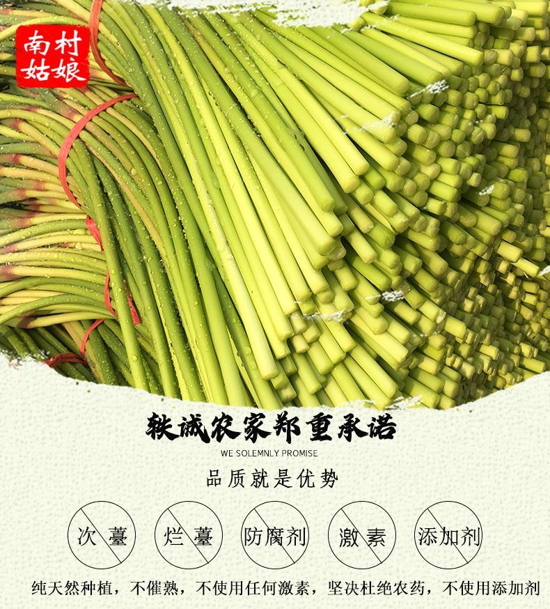 【新品】2020年新鲜蒜苔新鲜蔬菜蒜苔蒜薹河南蒜苗1/3/5斤
