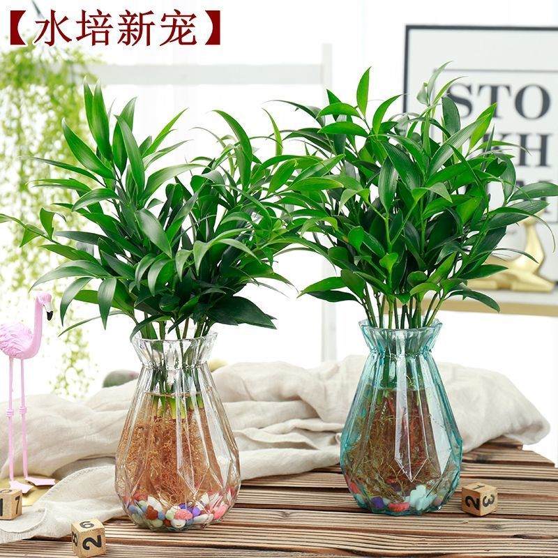 d097bd12-00ba-4b33-a396-eb3c16d2b193.jpg