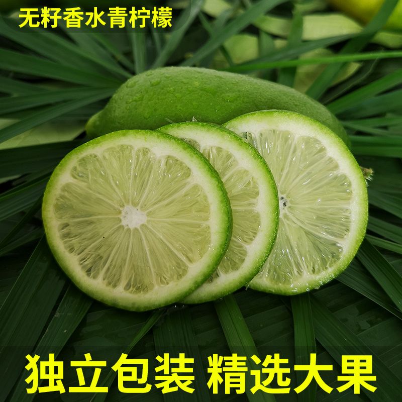 e382081b-8fcc-4aa0-a752-0ec83b9856fc.jpg