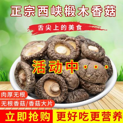 特级西峡香菇干货野生椴木无根香菇干农家土特产批发剪脚香菇包邮