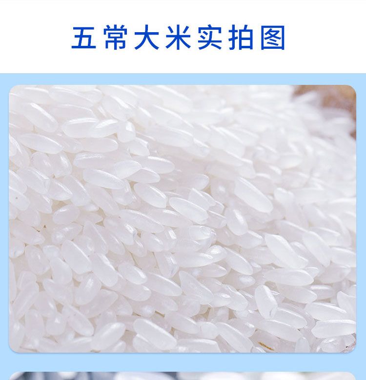 aa4e422d-9bc2-436d-b2a9-eae75b7a0f27.jpg