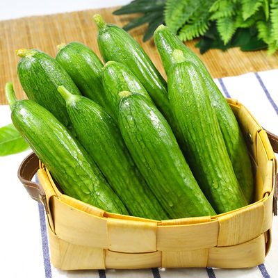 小黄瓜新鲜小乳瓜水果小青瓜蔬菜四川山东旱生吃净重5斤包邮