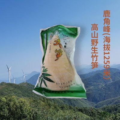 食用农产品水煮新鲜野生冬笋清水竹笋餐饮酒店食材清汁竹笋笋尖