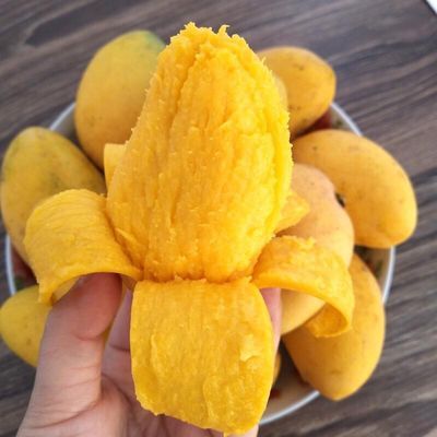 广西小台芒应季水果新鲜芒果现摘芒果批发芒果3510斤装非贵妃芒