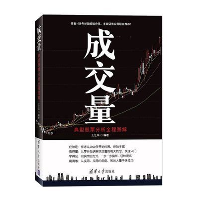 成交量:典型股票分析全程图解 炒股教程书籍 投资理财指南