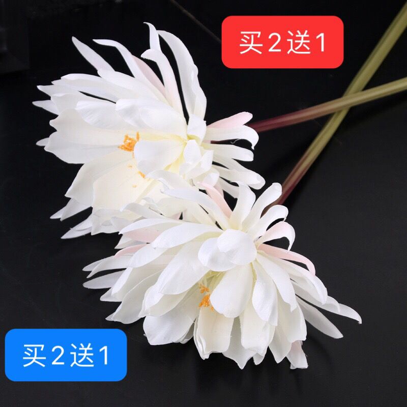 中国风汉服拍摄道具手持莲花昙花长绢花仿真家居饰品摆件假花古典 3月7日发完 虎窝拼