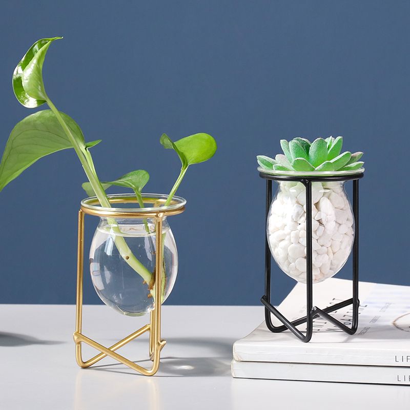 创意水培花瓶绿萝水养植物玻璃花盆容器办公室桌面摆设装饰品摆件