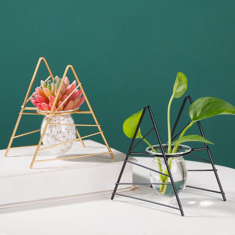创意水培花瓶绿萝水养植物玻璃花盆容器办公室桌面摆设装饰品摆件