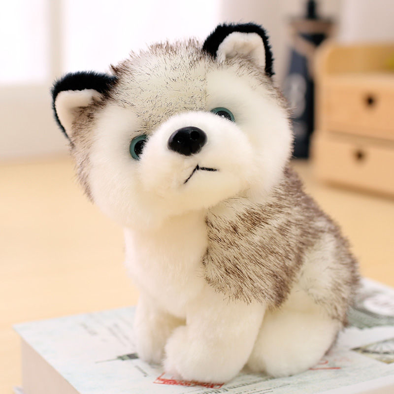 Cute simulation husky doll plush toy dog erha doll small Doll Girl Birthday Gift