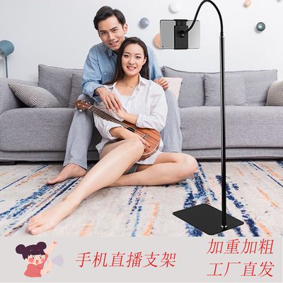 17229/手机支架平板手机落地直播支架多功能悬臂俯拍懒人通用桌面支架