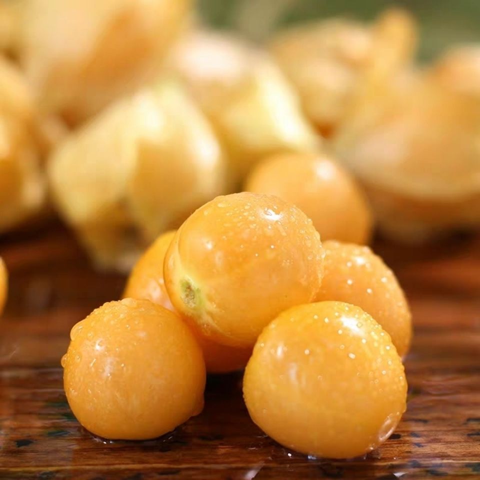 东北菇娘果应季新鲜水果当季黄姑娘果灯笼果特产整箱洋姑娘菇茑