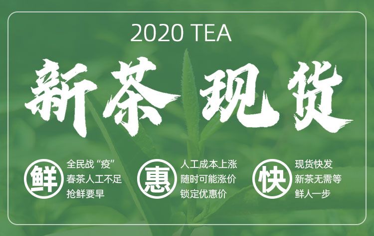信阳毛尖2020新茶炒青绿茶雨前春茶散装手工茶叶浓香型正宗口粮茶