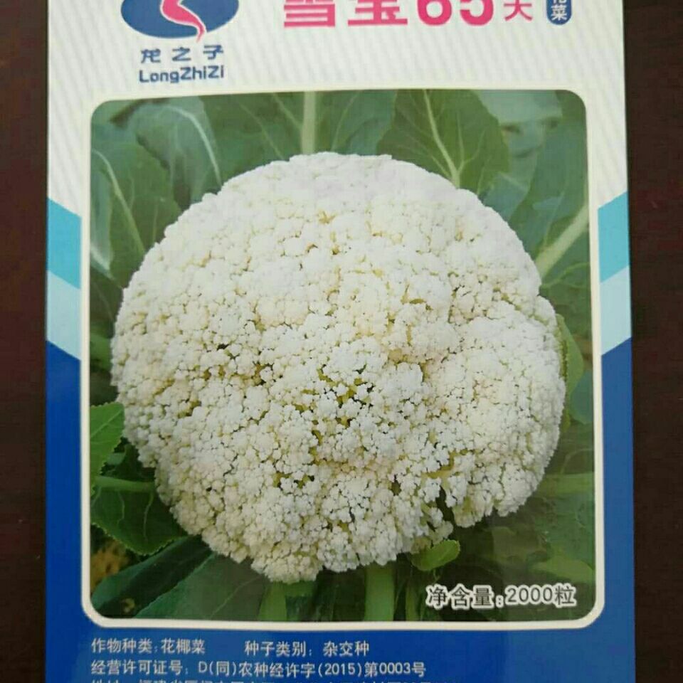有机松花菜种子进口富松青梗有机花椰菜高产耐寒耐湿易种花菜种子【2